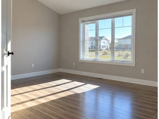 Move-out clean